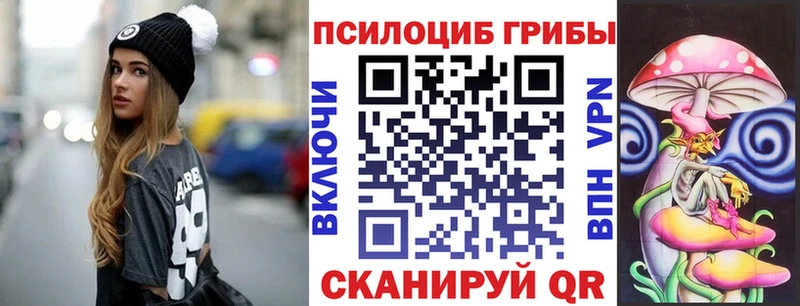 Псилоцибиновые грибы мицелий  дарк нет какой сайт  Жуковка  ссылка на мегу tor 